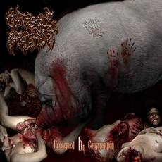 Grotesque Impalement (GER) : Redeemed by Consumption
